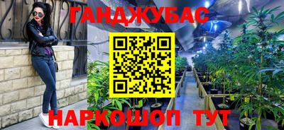 ГАЛЛЮЦИНОГЕННЫЕ ГРИБЫ Свободный