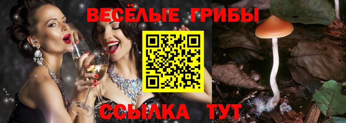 Псилоцибиновые грибы Magic Shrooms  Вход с VPN  Октябрьский 